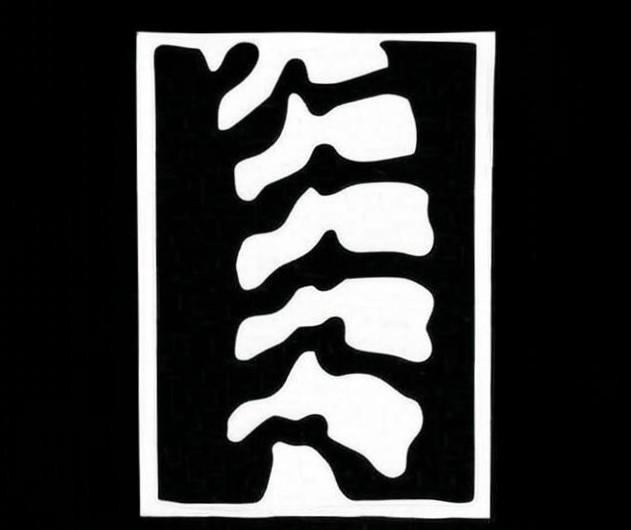 A logo of a spine is shown.